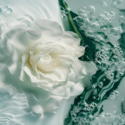ALGUES ET FLEURS