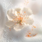 MOUSSE DOUCEUR FLEURS D’ORANGER